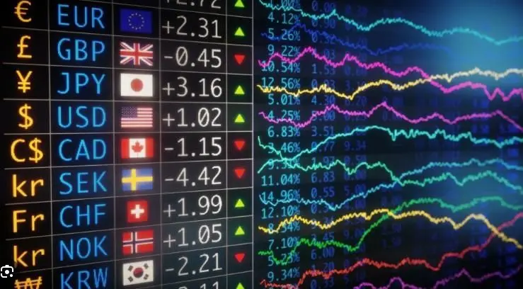 Crypto Profit and Loss Calculator Guide crypto profit and loss calculator guide