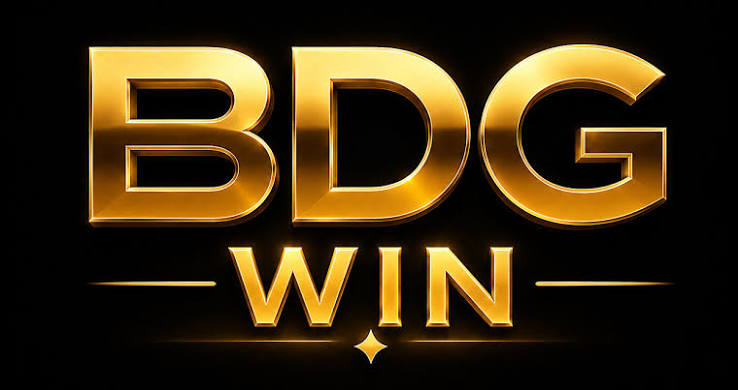 BDG Win and Digital Privacy: A Questions to Ask